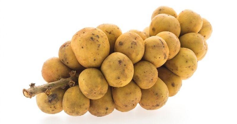 12 Manfaat Buah Kelengkeng yang Jarang Diketahui, Simak di Sini